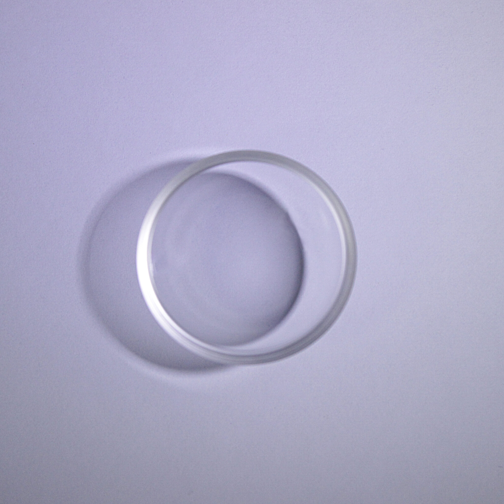K9 Glass Dome
